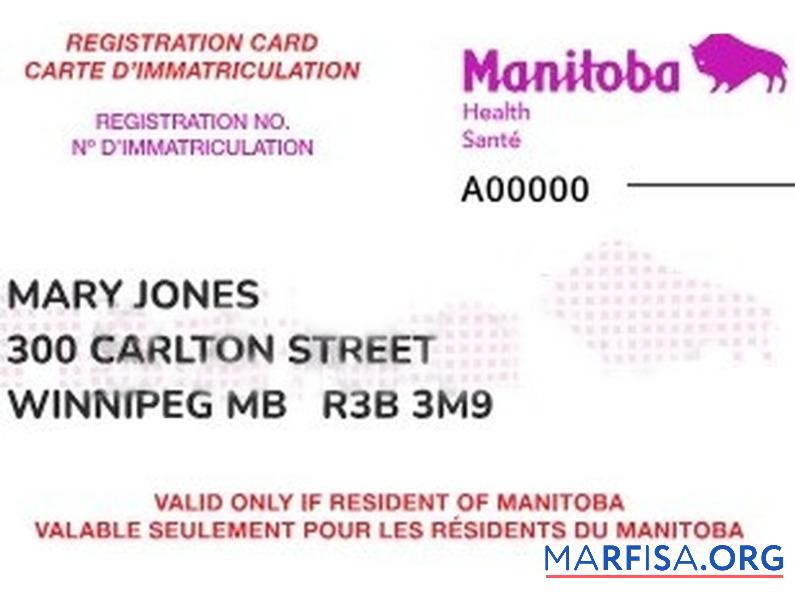Realistic Manitoba health insurance card example